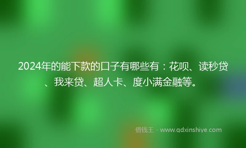 2024年的能下款的口子有哪些有：花呗、读秒贷、我来贷、超人卡、度小满金融等。