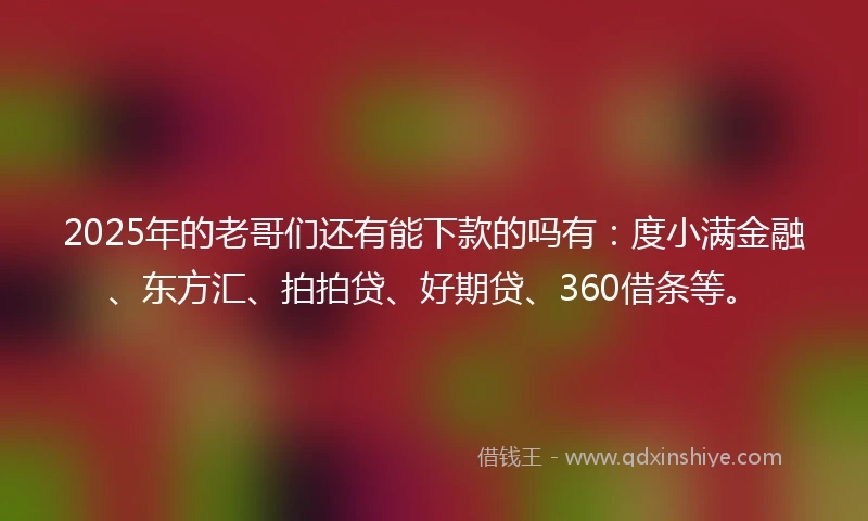 2025年的老哥们还有能下款的吗有：度小满金融、东方汇、拍拍贷、好期贷、360借条等。