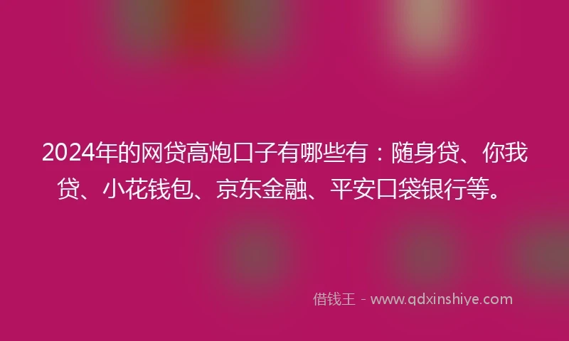 2024年的网贷高炮口子有哪些有：随身贷、你我贷、小花钱包、京东金融、平安口袋银行等。