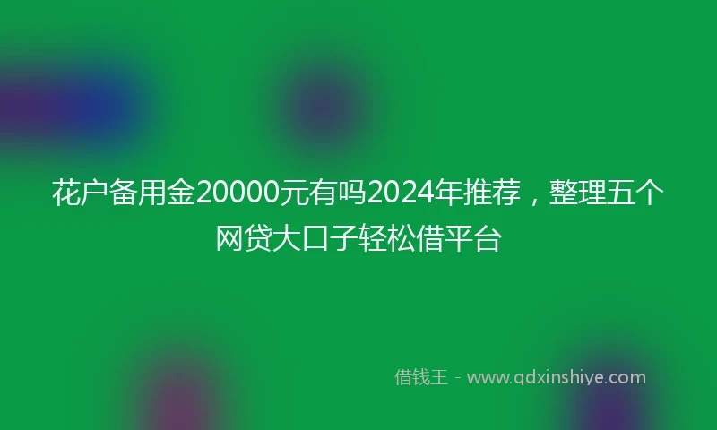 花户备用金20000元有吗2024年推荐，整理五个网贷大口子轻松借平台