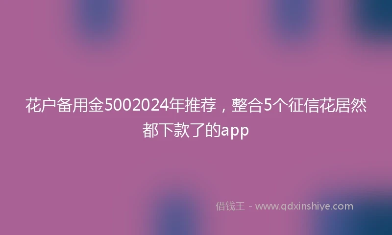 花户备用金5002024年推荐，整合5个征信花居然都下款了的app