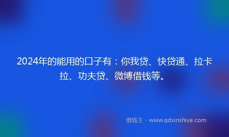 2024年的能用的口子有：你我贷、快贷通、拉卡拉、功夫贷、微博借钱等。