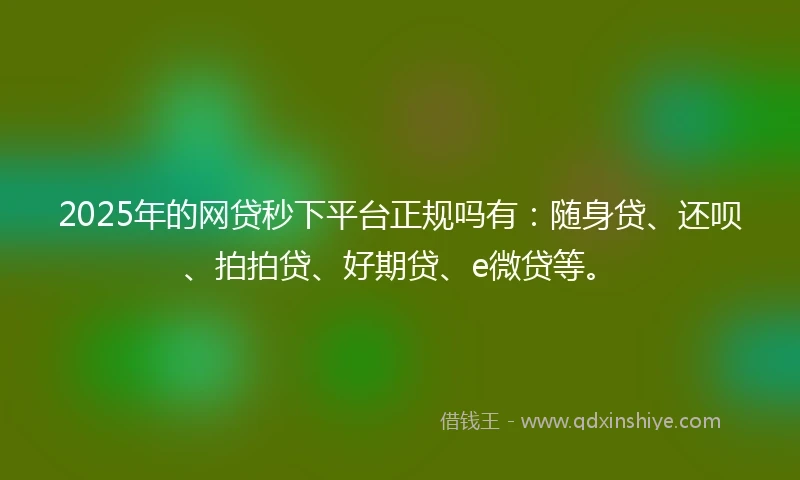 2025年的网贷秒下平台正规吗有：随身贷、还呗、拍拍贷、好期贷、e微贷等。