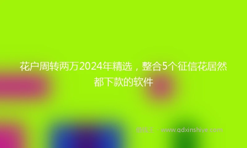 花户周转两万2024年精选，整合5个征信花居然都下款的软件