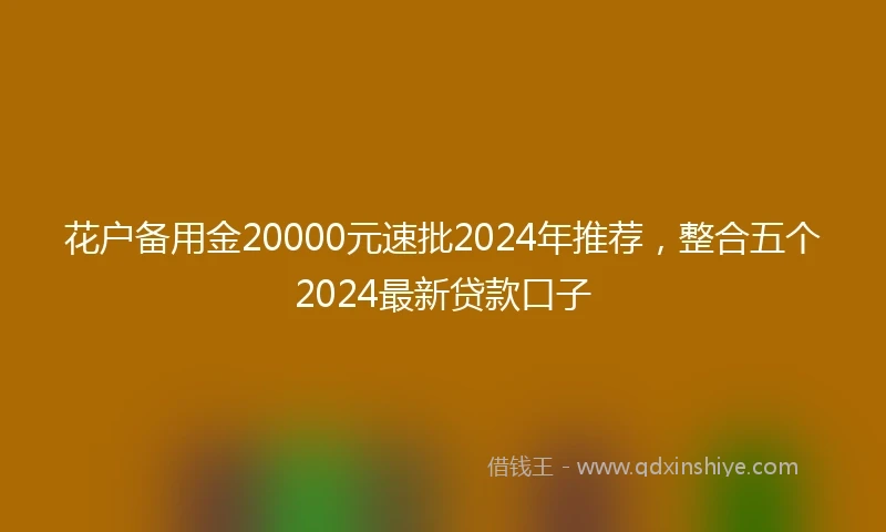 花户备用金20000元速批2024年推荐，整合五个2024最新贷款口子