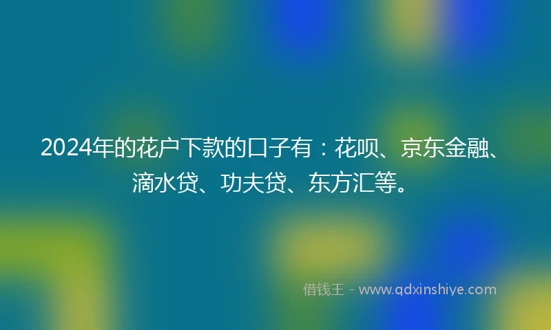 2024年的花户下款的口子有：花呗、京东金融、滴水贷、功夫贷、东方汇等。