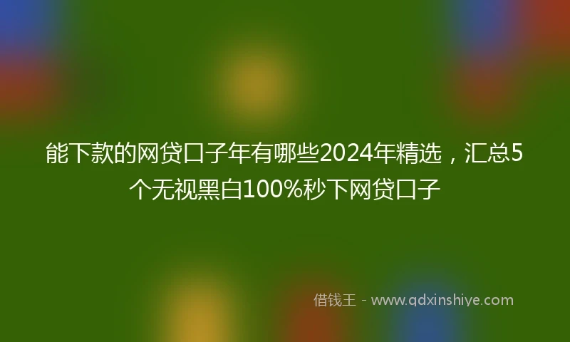 能下款的网贷口子年有哪些2024年精选，汇总5个无视黑白100%秒下网贷口子