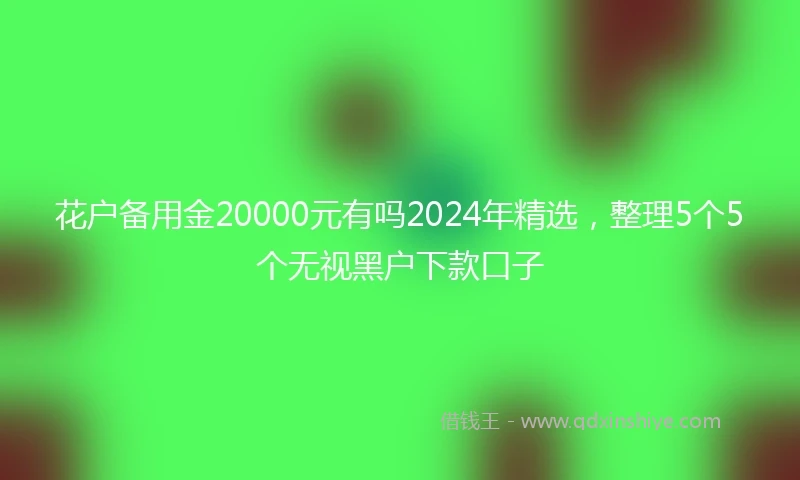 花户备用金20000元有吗2024年精选，整理5个5个无视黑户下款口子