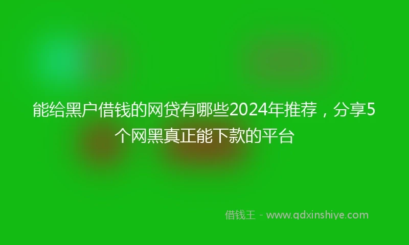 能给黑户借钱的网贷有哪些2024年推荐，分享5个网黑真正能下款的平台