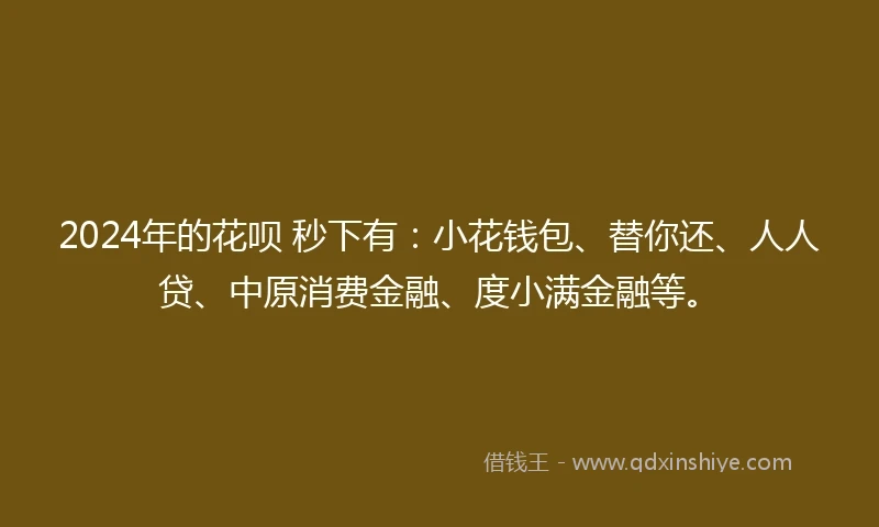 2024年的花呗 秒下有：小花钱包、替你还、人人贷、中原消费金融、度小满金融等。