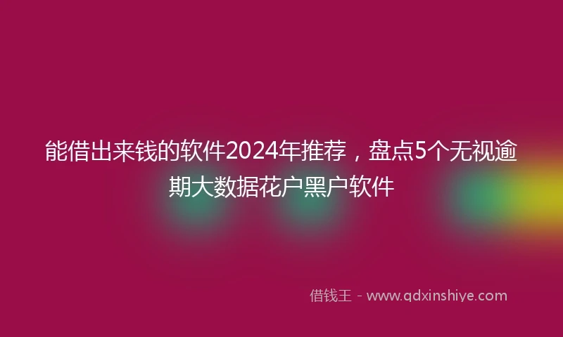 能借出来钱的软件2024年推荐，盘点5个无视逾期大数据花户黑户软件
