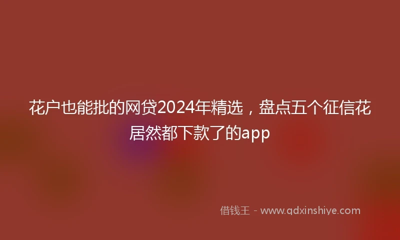 花户也能批的网贷2024年精选，盘点五个征信花居然都下款了的app