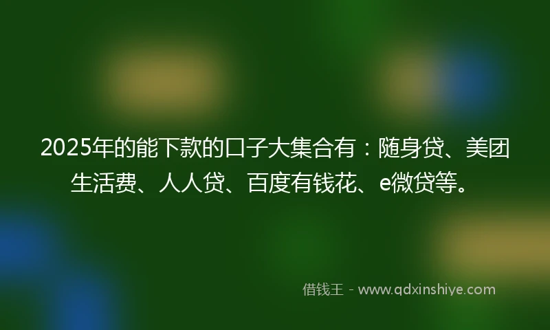 2025年的能下款的口子大集合有：随身贷、美团生活费、人人贷、百度有钱花、e微贷等。
