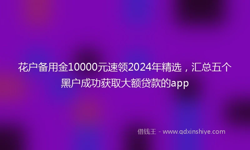 花户备用金10000元速领2024年精选，汇总五个黑户成功获取大额贷款的app