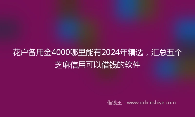 花户备用金4000哪里能有2024年精选，汇总五个芝麻信用可以借钱的软件