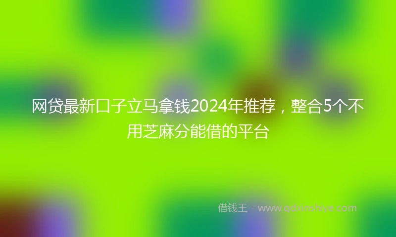 网贷最新口子立马拿钱2024年推荐，整合5个不用芝麻分能借的平台