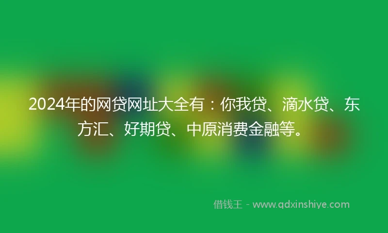 2024年的网贷网址大全有：你我贷、滴水贷、东方汇、好期贷、中原消费金融等。