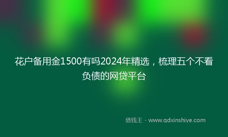 花户备用金1500有吗2024年精选，梳理五个不看负债的网贷平台