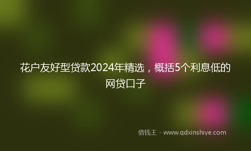 花户友好型贷款2024年精选，概括5个利息低的网贷口子