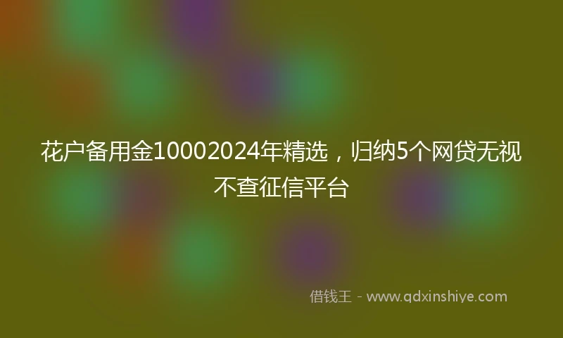 花户备用金10002024年精选，归纳5个网贷无视不查征信平台