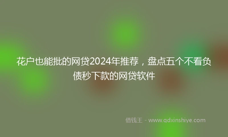 花户也能批的网贷2024年推荐，盘点五个不看负债秒下款的网贷软件