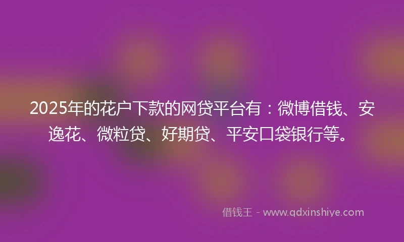 2025年的花户下款的网贷平台有：微博借钱、安逸花、微粒贷、好期贷、平安口袋银行等。