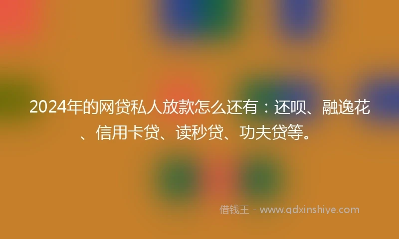 2024年的网贷私人放款怎么还有：还呗、融逸花、信用卡贷、读秒贷、功夫贷等。
