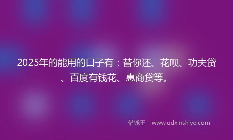 2025年的能用的口子有：替你还、花呗、功夫贷、百度有钱花、惠商贷等。