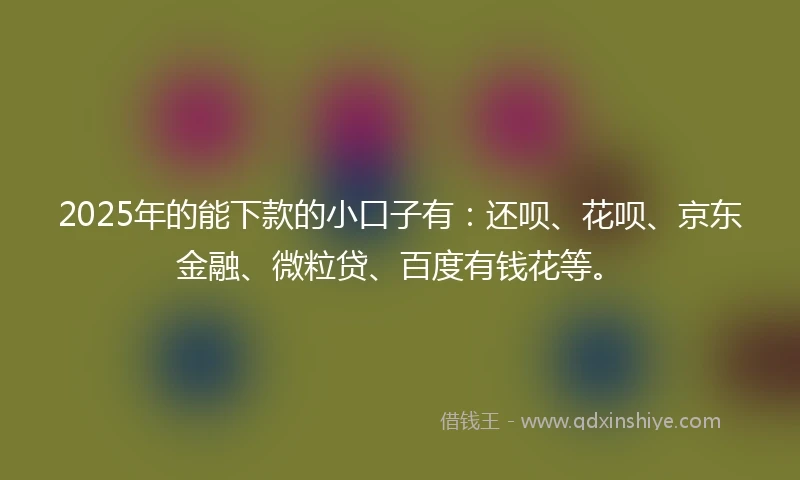 2025年的能下款的小口子有：还呗、花呗、京东金融、微粒贷、百度有钱花等。