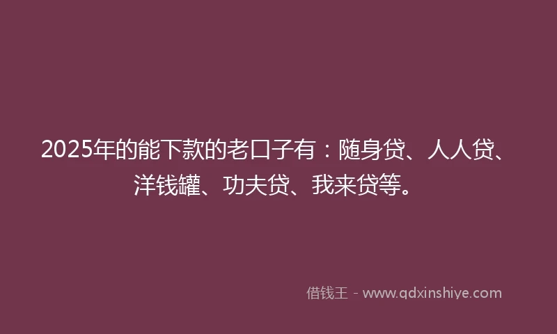 2025年的能下款的老口子有：随身贷、人人贷、洋钱罐、功夫贷、我来贷等。