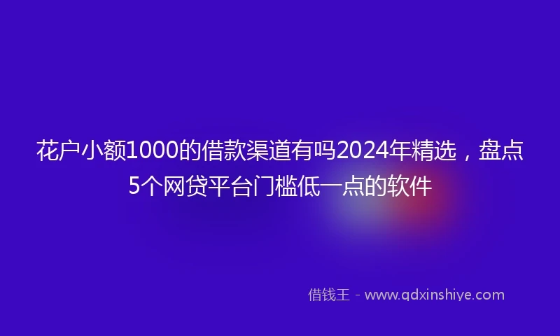 花户小额1000的借款渠道有吗2024年精选，盘点5个网贷平台门槛低一点的软件