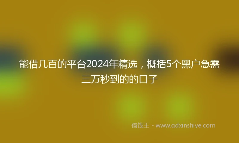 能借几百的平台2024年精选，概括5个黑户急需三万秒到的的口子