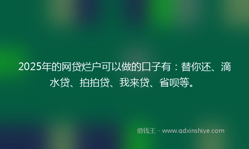 2025年的网贷烂户可以做的口子有：替你还、滴水贷、拍拍贷、我来贷、省呗等。