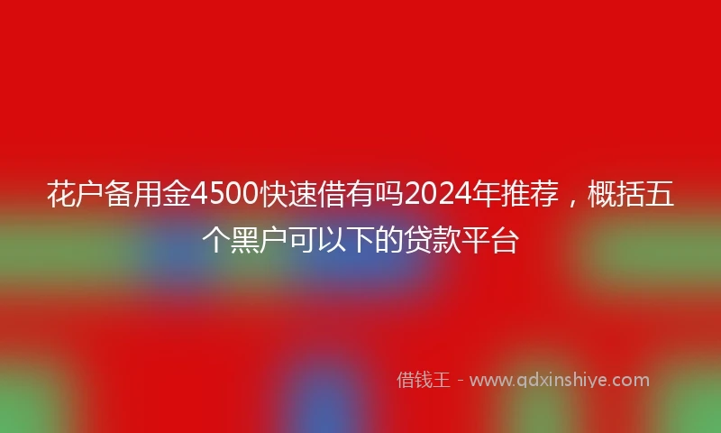 花户备用金4500快速借有吗2024年推荐，概括五个黑户可以下的贷款平台