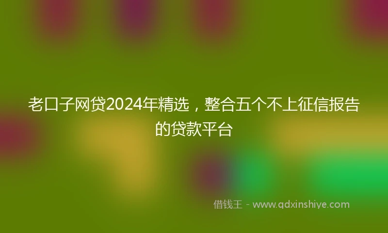 老口子网贷2024年精选，整合五个不上征信报告的贷款平台