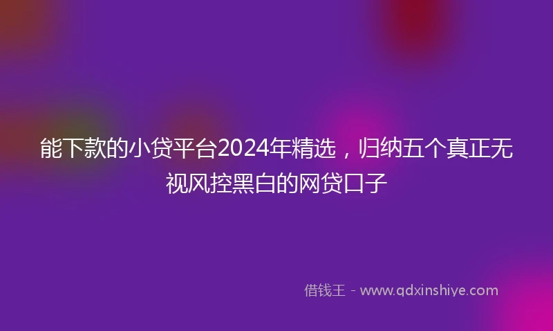 能下款的小贷平台2024年精选，归纳五个真正无视风控黑白的网贷口子