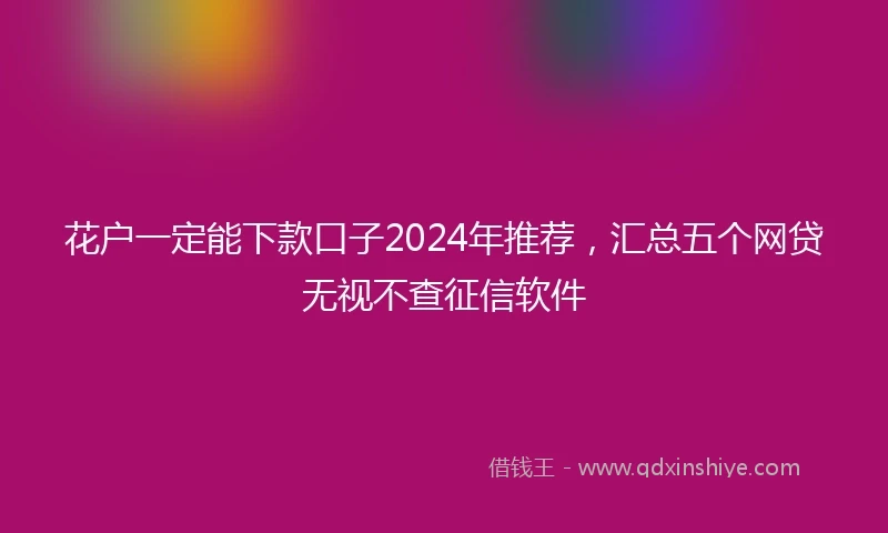花户一定能下款口子2024年推荐，汇总五个网贷无视不查征信软件