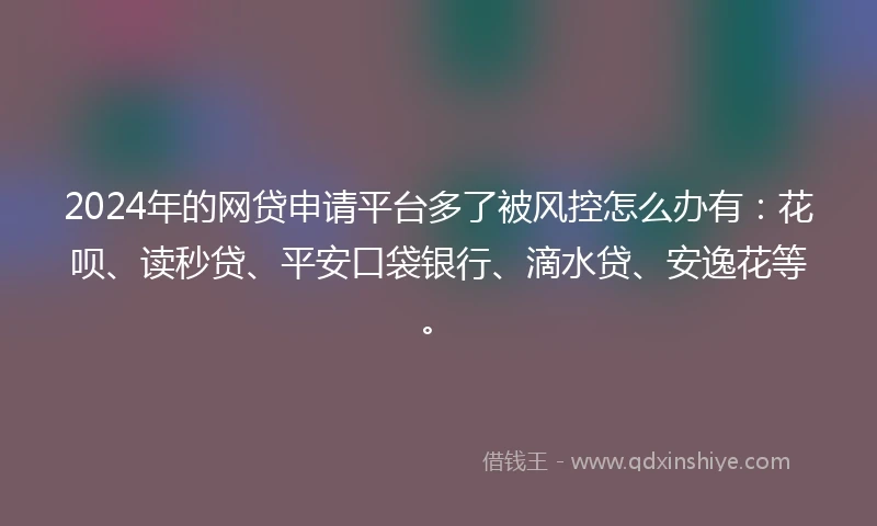 2024年的网贷申请平台多了被风控怎么办有：花呗、读秒贷、平安口袋银行、滴水贷、安逸花等。