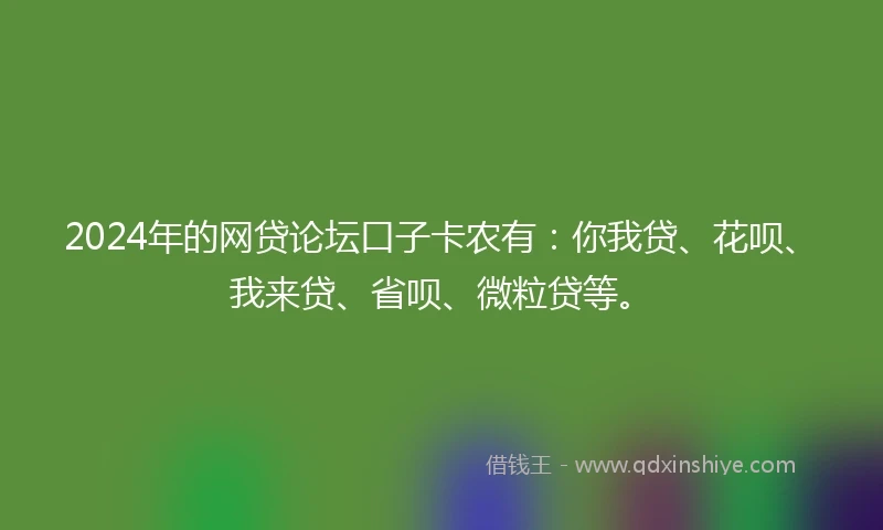 2024年的网贷论坛口子卡农有：你我贷、花呗、我来贷、省呗、微粒贷等。