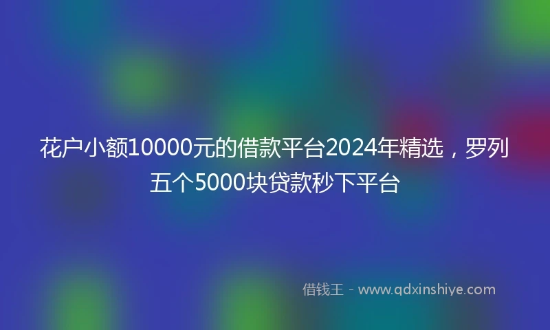 花户小额10000元的借款平台2024年精选，罗列五个5000块贷款秒下平台