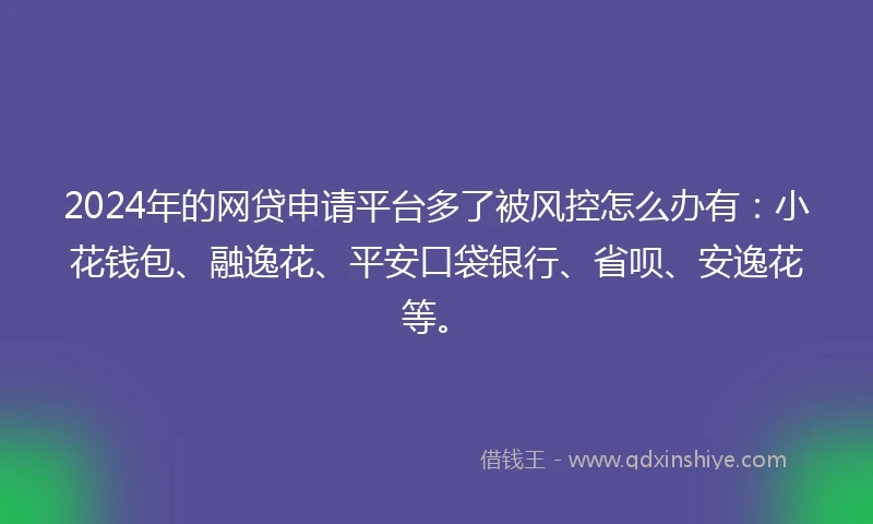 2024年的网贷申请平台多了被风控怎么办有：小花钱包、融逸花、平安口袋银行、省呗、安逸花等。