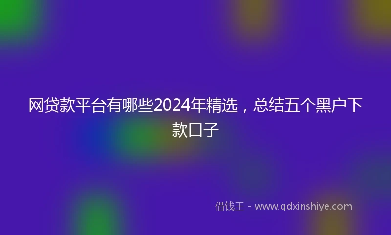 网贷款平台有哪些2024年精选，总结五个黑户下款口子