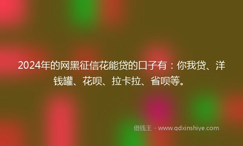 2024年的网黑征信花能贷的口子有：你我贷、洋钱罐、花呗、拉卡拉、省呗等。