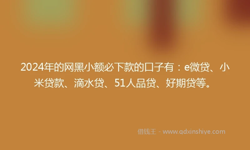2024年的网黑小额必下款的口子有：e微贷、小米贷款、滴水贷、51人品贷、好期贷等。