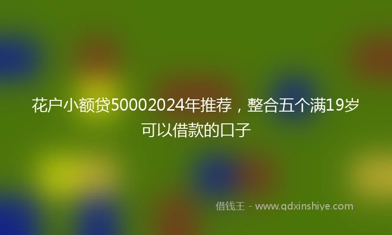 花户小额贷50002024年推荐，整合五个满19岁可以借款的口子