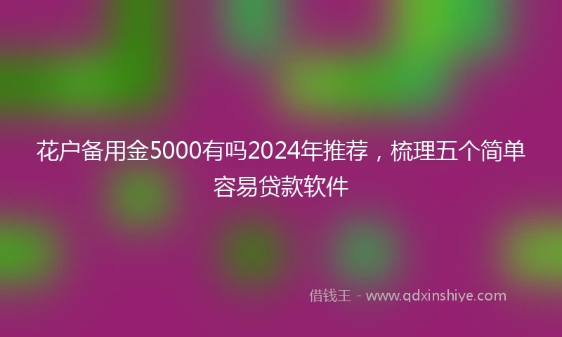 花户备用金5000有吗2024年推荐，梳理五个简单容易贷款软件