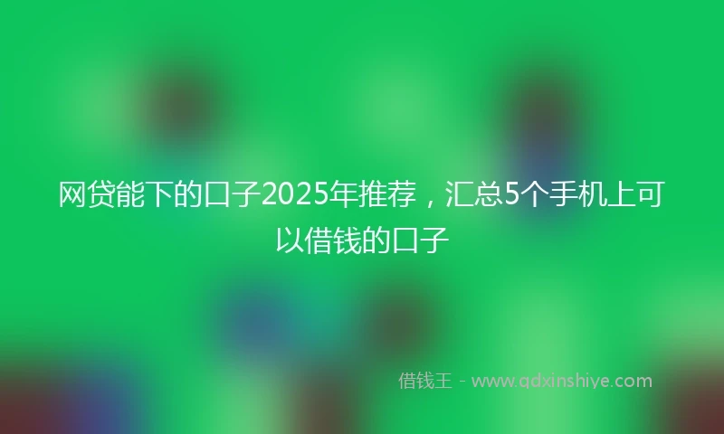 网贷能下的口子2025年推荐，汇总5个手机上可以借钱的口子