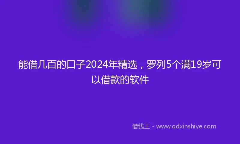 能借几百的口子2024年精选，罗列5个满19岁可以借款的软件