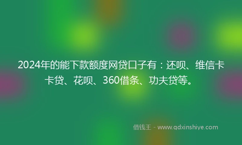 2024年的能下款额度网贷口子有：还呗、维信卡卡贷、花呗、360借条、功夫贷等。