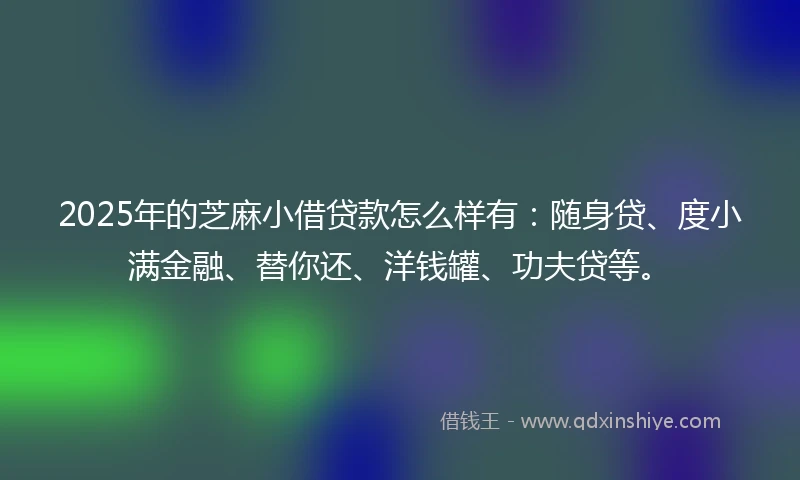 2025年的芝麻小借贷款怎么样有：随身贷、度小满金融、替你还、洋钱罐、功夫贷等。